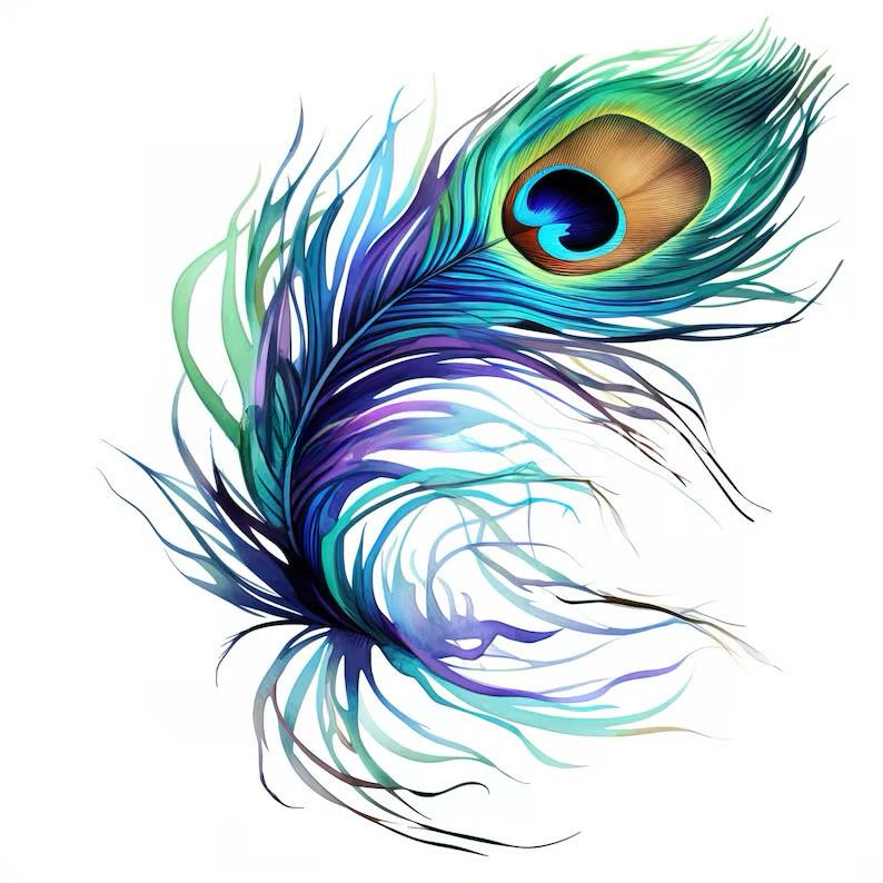 plume de paon