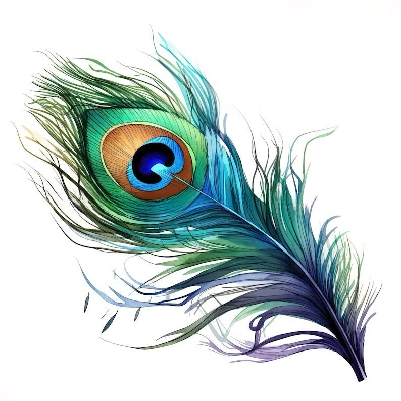 plume de paon